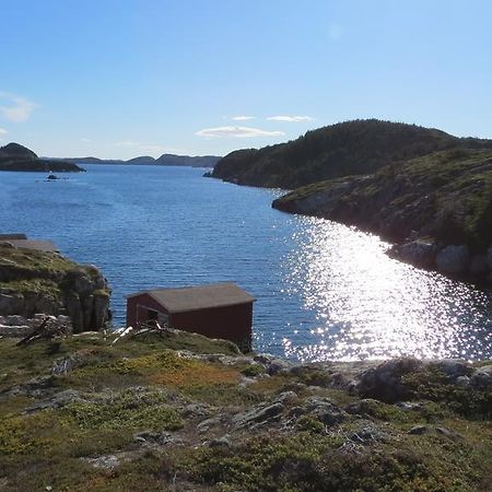 The Old Salt Box Co. - Daisy'S Place Herring Neck Екстериор снимка