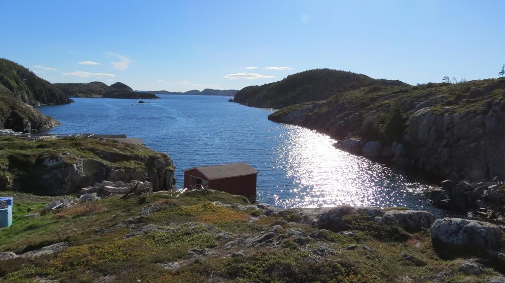 The Old Salt Box Co. - Daisy'S Place Herring Neck Екстериор снимка